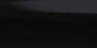 113