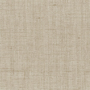 inbe beige 4