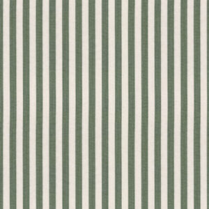streep groen 25